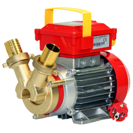 Rover 35 CE pronssinen siirtopumppu 1 HP 230 V