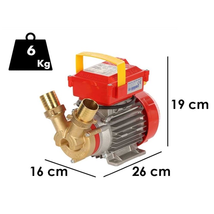 Rover 35 CE pronssinen siirtopumppu, 1 HP, 230 V