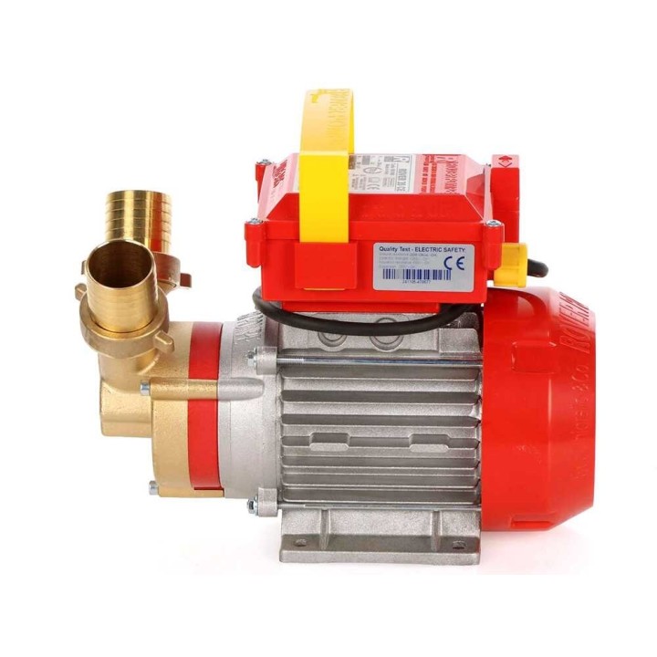 Rover 35 CE pronssinen siirtopumppu, 1 HP, 230 V