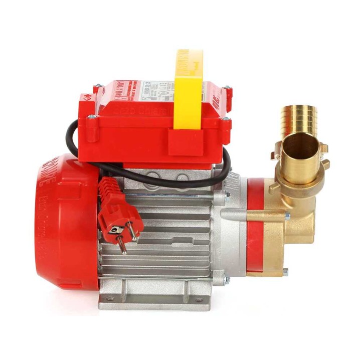 Rover 35 CE pronssinen siirtopumppu, 1 HP, 230 V