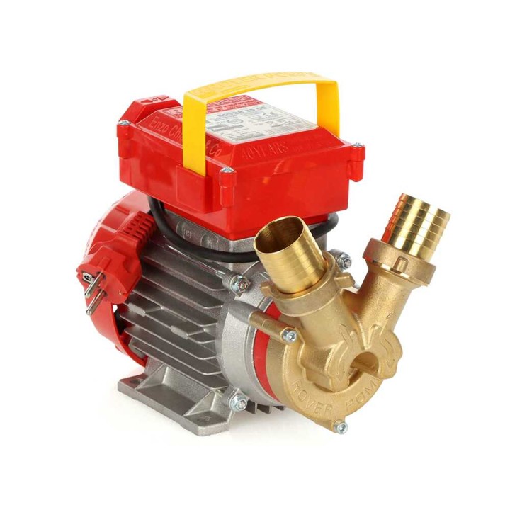 Rover 35 CE pronssinen siirtopumppu, 1 HP, 230 V