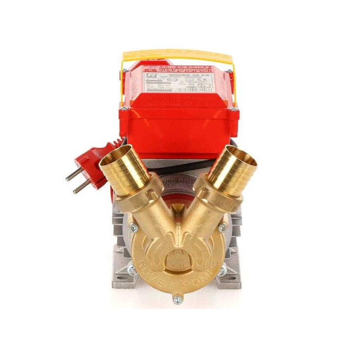 Rover 35 CE pronssinen siirtopumppu, 1 HP, 230 V