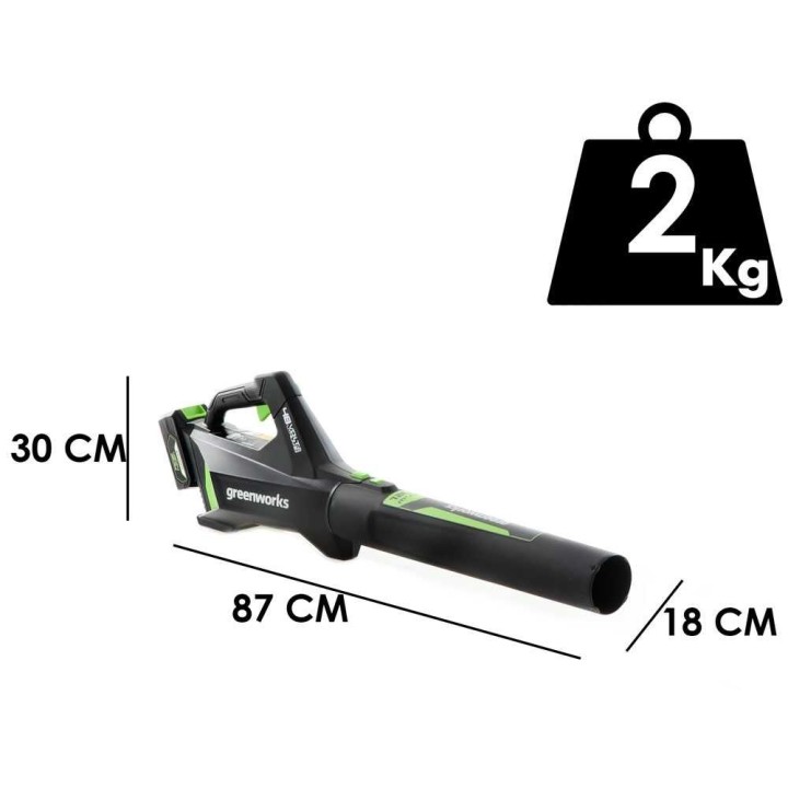 Greenworks G48AB akkukäyttöinen puhallin, 48 V, 5 Ah