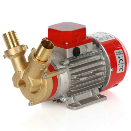 Rover Marina 30 pumppu nesteensiirtoon 24 V pronssi 70 l min