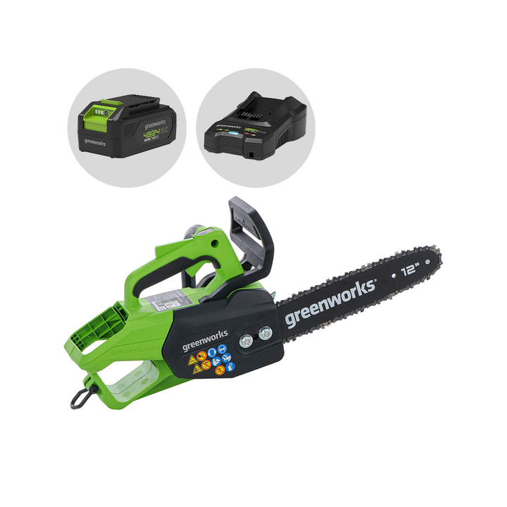 Greenworks GD48TCS akkumoottorisaha 48 V 2 Ah 30 cm laippa