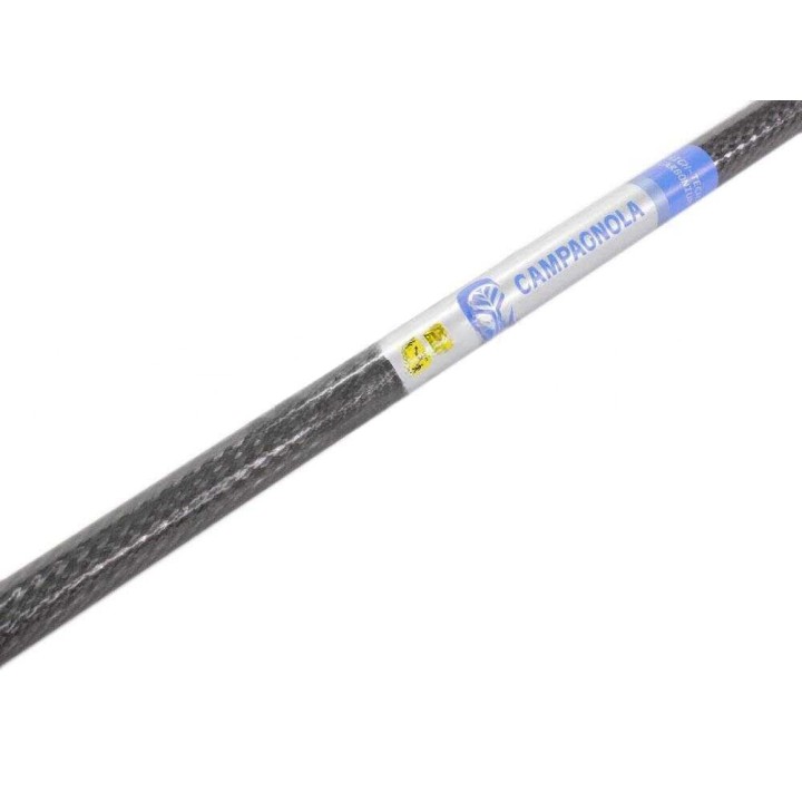 Campagnola Elektra Carbonio sähköoliivinkaristin, hiilikuituvarsi 230 cm, 12 V, 325 W