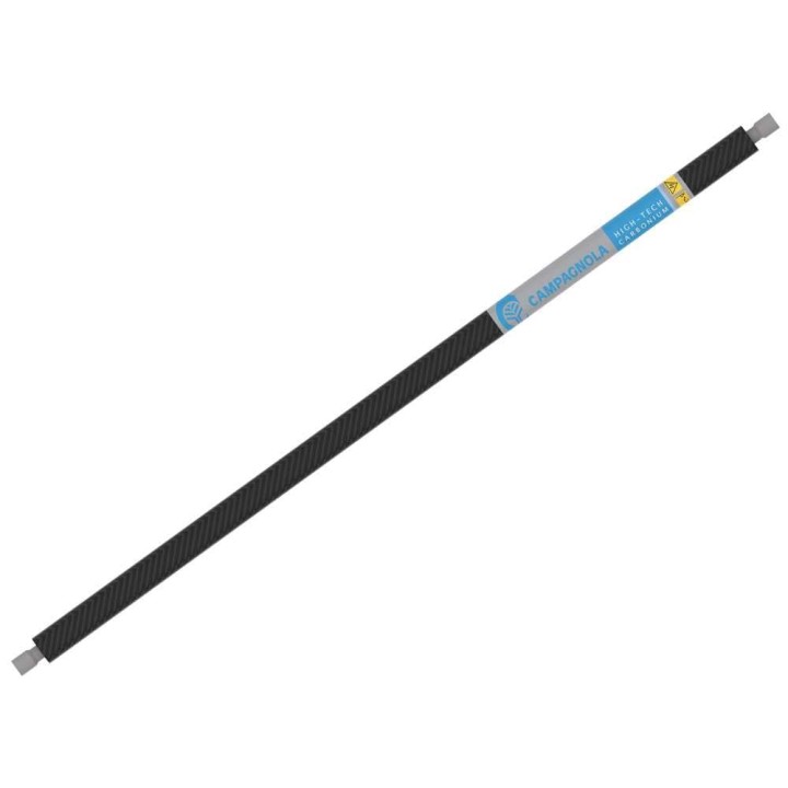 Campagnola Alice STAR ECO oliivinkorjuukampa, 230 cm hiilikuituvarsi, 325 W, 12 V