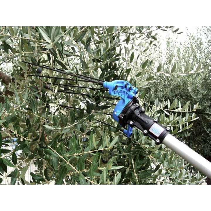 Campagnola HERCULES 58V oliivinkorjuuharja, teleskooppivarsi 235–320 cm, 350 W