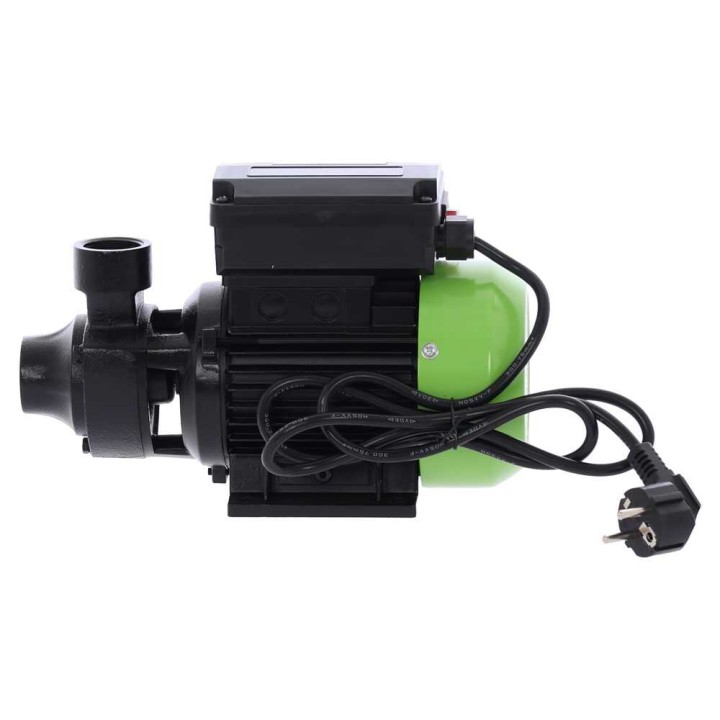Ribimex PRPC115 sähköpumppu dieselin siirtoon, 370 W, 220–240 V