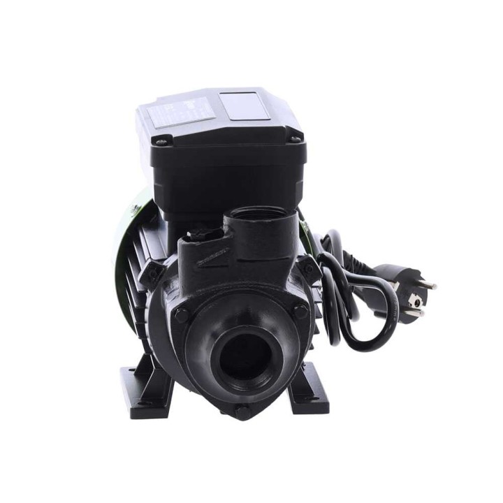 Ribimex PRKG115A dieselpumppu dispenser-sarjalla, 370 W, 230 V