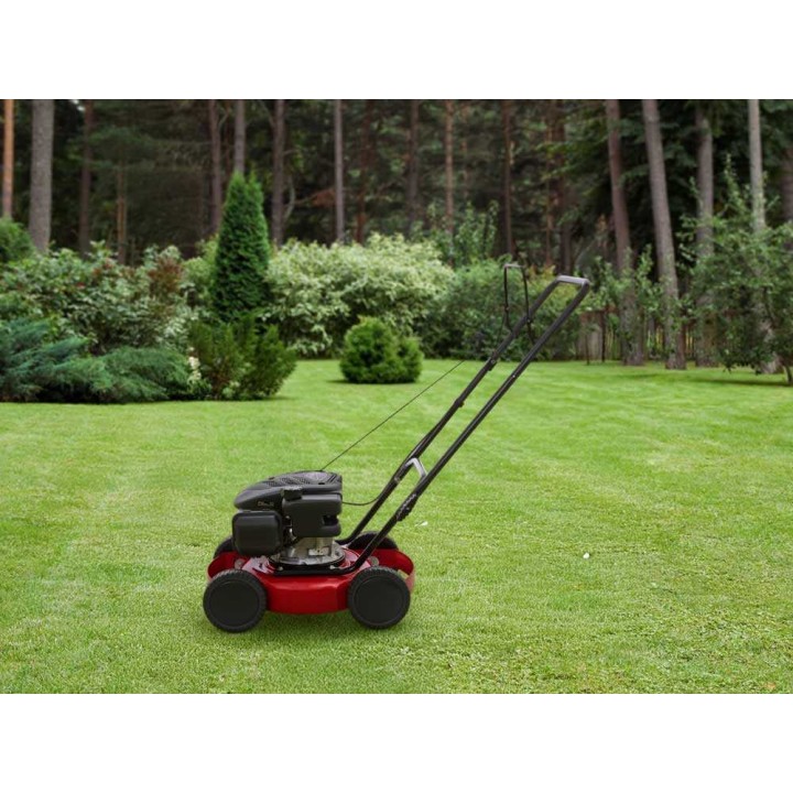 Speedy L bioleikkaava ruohonleikkuri, Loncin LC1P65FE, 139 cm³, 39 cm
