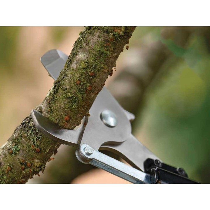 Bosch AdvancedPrune 18V-45 oksasakset jatkovarrella, 45 mm, 18 V ilman akkua ja laturia