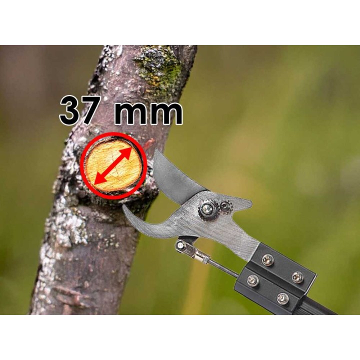 Vesco X37AF sähköoksasakset varrella, 160 cm, 37 mm, ilman akkua ja laturia