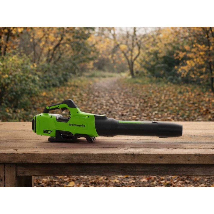 Greenworks BL2206H akkupuhallin, 60 V, ilman akkua ja laturia