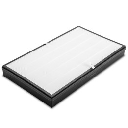 3 in 1 Carbon HEPA suodatin AirgoClean 250 E ilmanpuhdistimeen 1 kpl