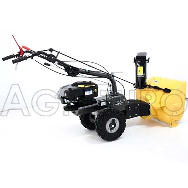 Eurosystems TM 70 RB EVO lumilinko, 6,5 HP, 56 cm, Briggs & Stratton 850 E I/C