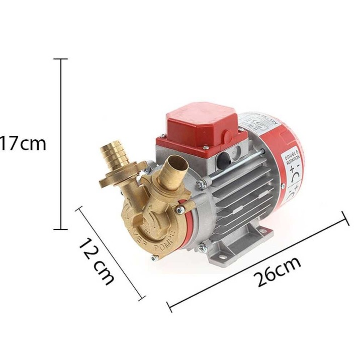Rover Marina 25 - 12 V pronssinen sähköinen siirtopumppu, 0,6 HP