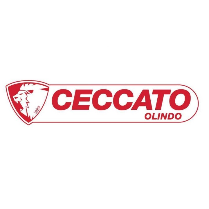 Ceccato Olindo BULL SPLE10 pystymallinen halkomakone, 10 t, 230 V
