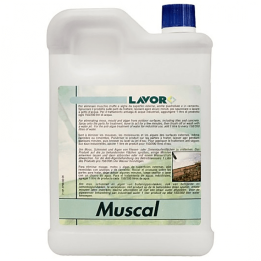 Lavor Muscal tiivistetty pesuaine painepesurille 2 l