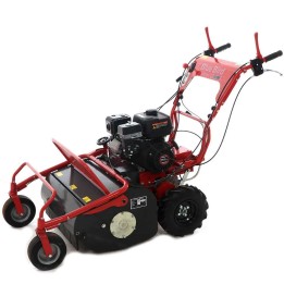 Blue Bird FM600 vasaramurskain Loncin LC175F 2 8 5 HP 60 cm