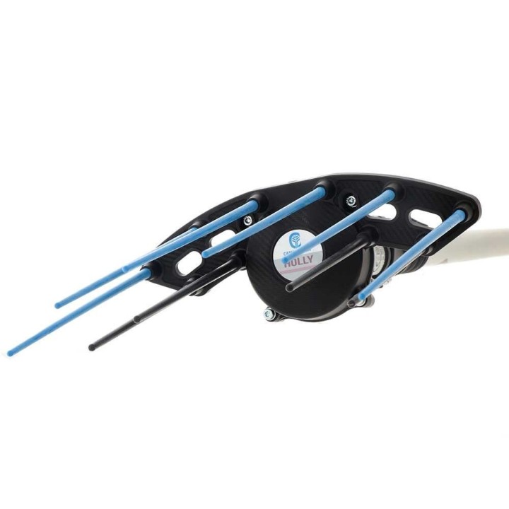 Campagnola Nuovo Holly 58V oliivinkorjuulaite, teleskooppivarsi 150–220 cm, 350 W