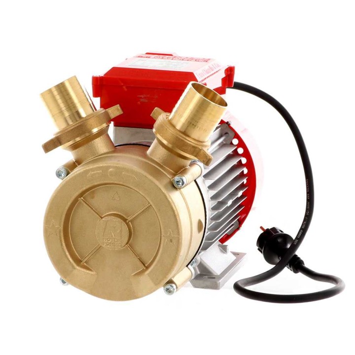 Rover BE-M 50 sähköinen siirtopumppu, pronssi, 3 HP, 230 V