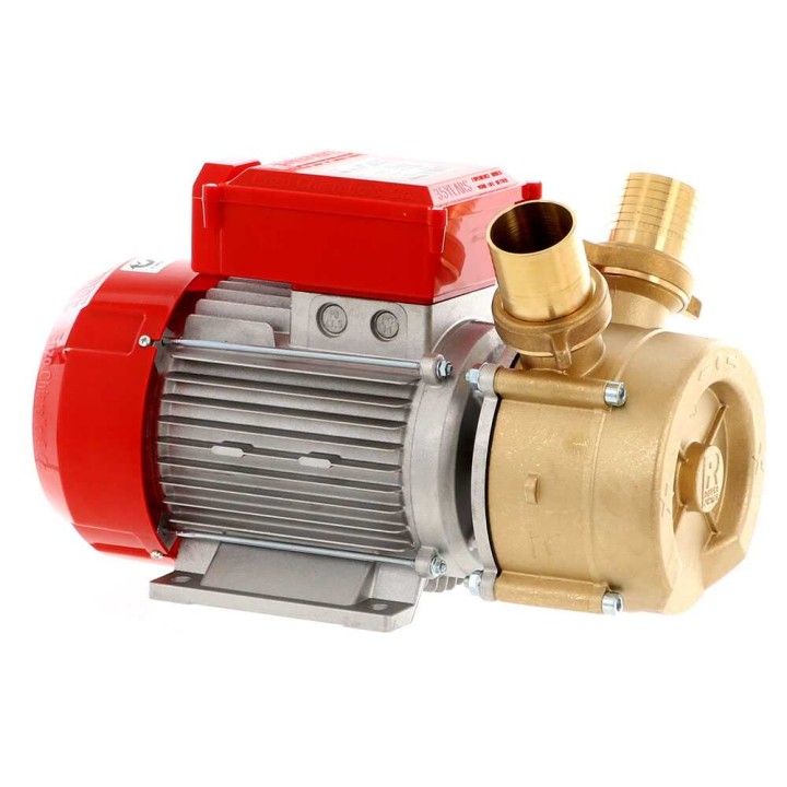 Rover BE-M 50 sähköinen siirtopumppu, pronssi, 3 HP, 230 V