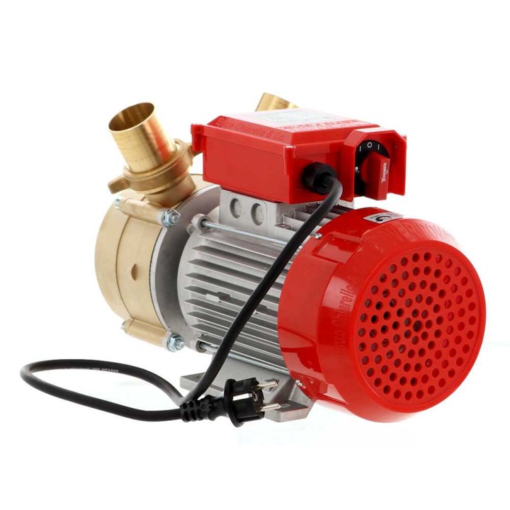Rover BE-M 50 sähköinen siirtopumppu, pronssi, 3 HP, 230 V