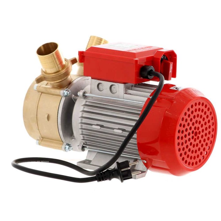 Rover BE-M 50 sähköinen siirtopumppu, pronssi, 3 HP, 230 V