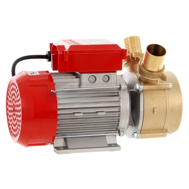 Rover BE-M 50 sähköinen siirtopumppu, pronssi, 3 HP, 230 V