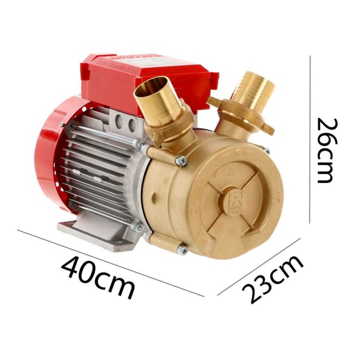 Rover BE-M 50 sähköinen siirtopumppu, pronssi, 3 HP, 230 V