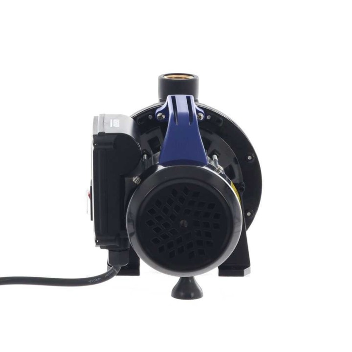 Annovi & Reverberi ARGP 600P sähköinen puutarhapumppu, 600 W, 3 100 l/h, 230–240 V
