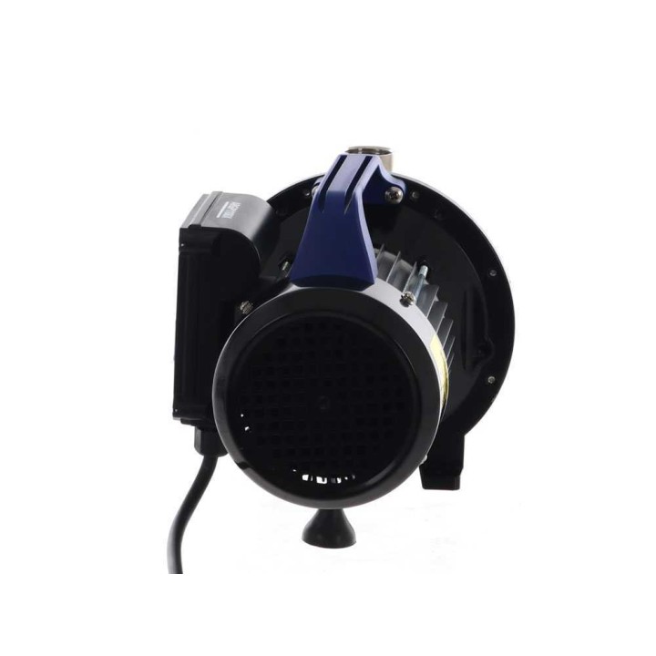 Annovi & Reverberi ARGP 1100X itseimevä puutarhapumppu, 1 100 W, 230 V