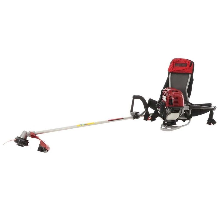 Blue Bird GX 50 ZP reppuraivaussaha, Honda GX 50, 4-tahti, 2 HP