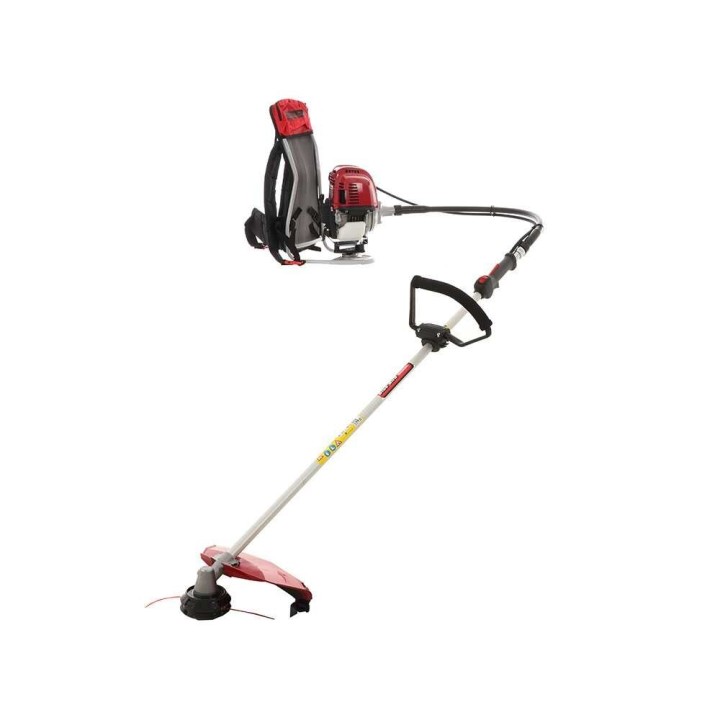 Blue Bird GX 50 ZP reppuraivaussaha, Honda GX 50, 4-tahti, 2 HP