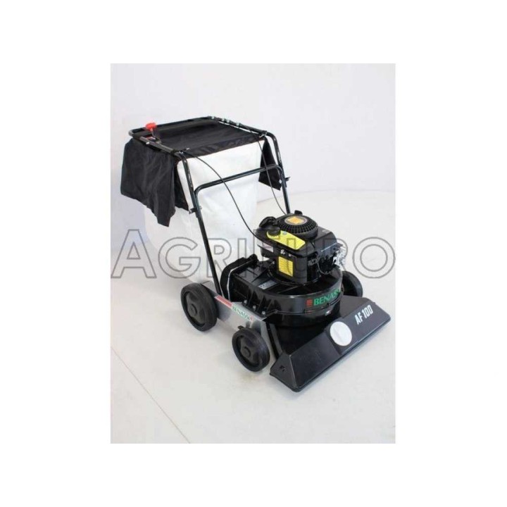 Benassi AF 100 lehti-imuri, B&S 675 EXi, 163 cm³, 5 HP, 230 l