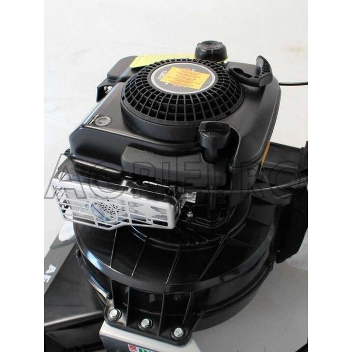 Benassi AF 100 lehti-imuri, B&S 675 EXi, 163 cm³, 5 HP, 230 l