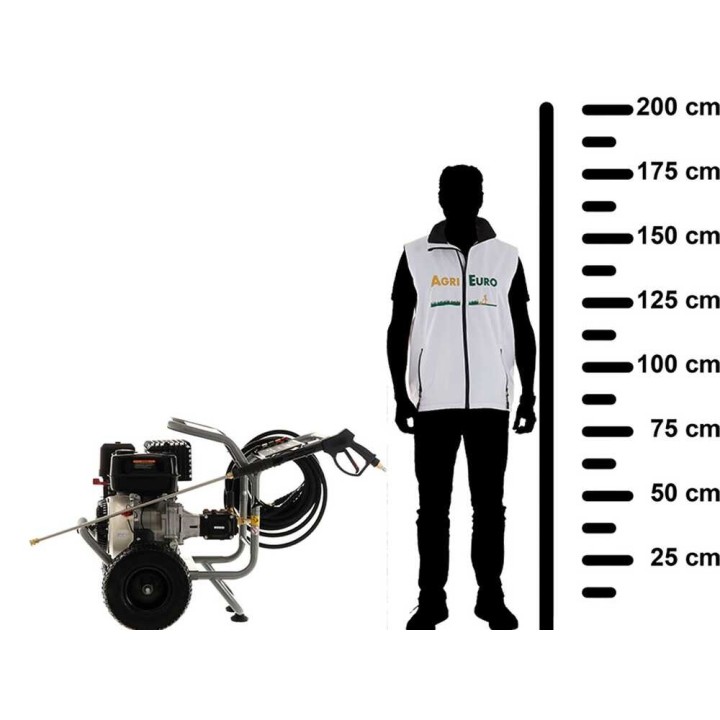BlackStone B-PW 15/300 painepesuri, 310 bar, 900 l/h, Ducar DH420, 15 HP