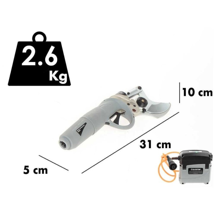 BlackStone 450 BP sähköinen oksasaksa varrella, 37 V, 5,2 Ah, 250 cm