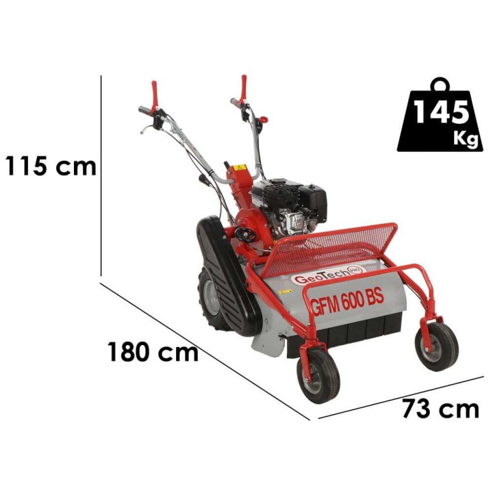 GeoTech Pro GFM 600 BS vasaramurskain, Briggs & Stratton CR 950, 60 cm, 7 HP