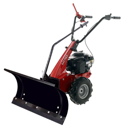 Eurosystems Minieffe M150 lumiaura Briggs Stratton 625EXi 5 HP