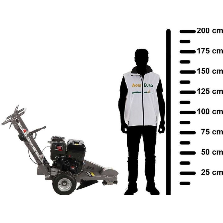 BlackStone SG 420 B&S fresajyrsin kantojen poistamiseen, 420 cm³, 13,5 HP