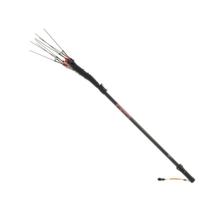 Castellari Vertigo Carbon C 12V oliivinkorjuukampa, 190–240 cm