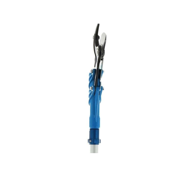 Paterlini Ara 8/D pneumaattiset oksasakset, 2,5 m varsi, 50 mm, 10 bar