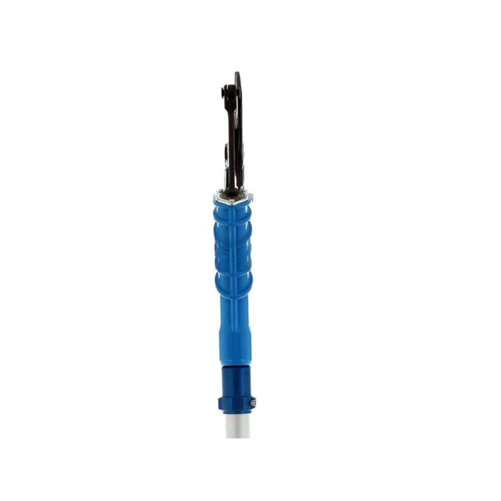 Paterlini Ara 8/D pneumaattiset oksasakset, 2,5 m varsi, 50 mm, 10 bar