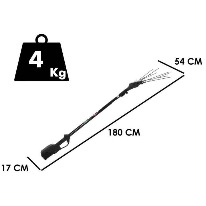 Zanon Albatros PRATIK C/AL 200 oliivinkeruulaite, 600 W, 36 V, 2 × 5 Ah