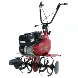 Euro 5 EVO puutarhajyrsin Briggs amp Stratton 7 5 HP 2 1 vaihdetta 75 cm