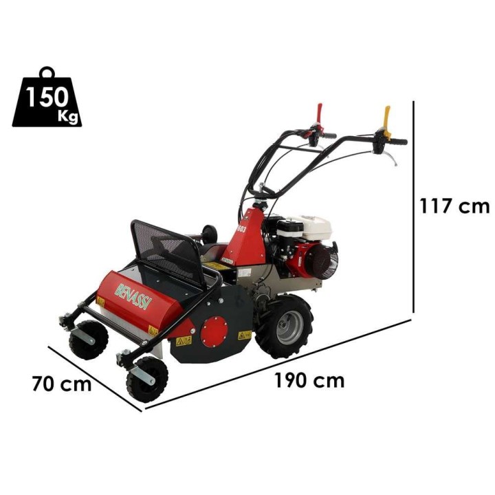 Benassi T 603 -vasarateräniittokone, Honda GX 200, 6,5 HP, 60 cm