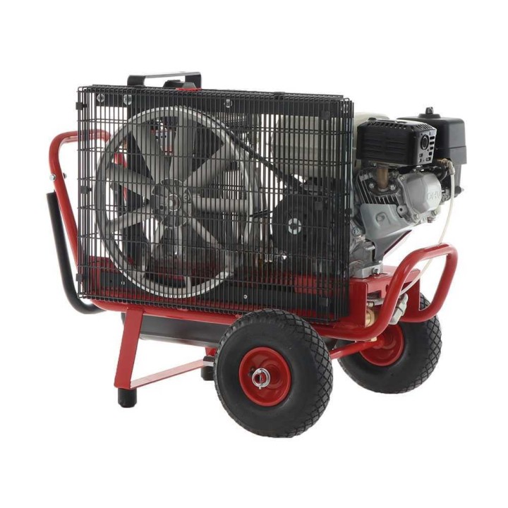 Lisam LM 500/10 KIT HOBBY 2 Operatori -moottorikompressorisarja oliivien poimintaan, 5,5 HP, 10 l