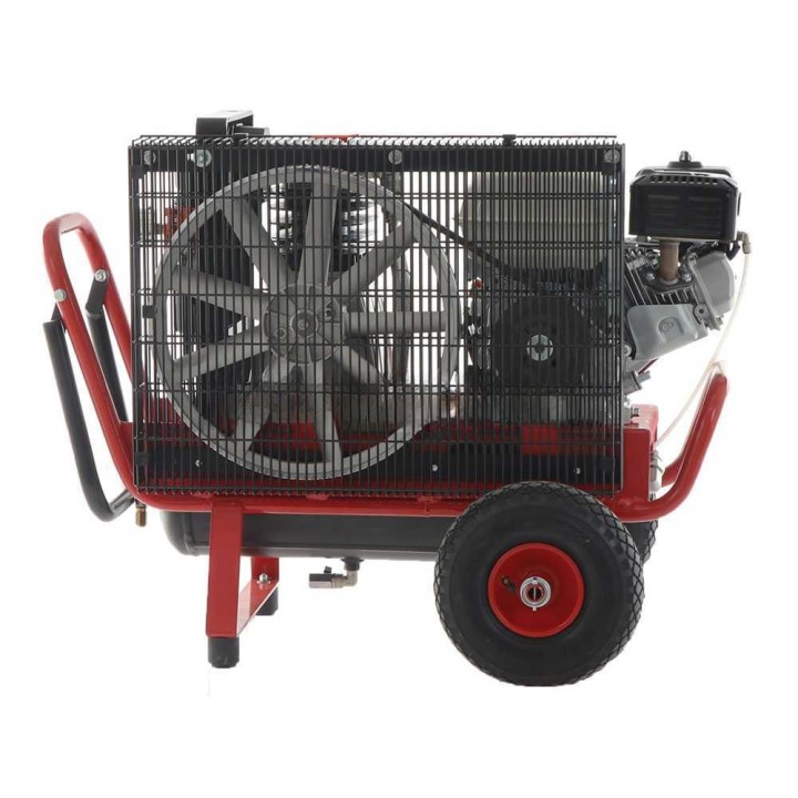 Lisam LM 500/10 KIT HOBBY 2 Operatori -moottorikompressorisarja oliivien poimintaan, 5,5 HP, 10 l
